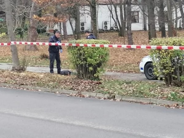 Фейсбук
От МВР съобщиха подробности за убийството в Борисовата градина в