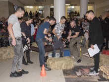 Еуфория завладя Plovdiv Plaza мол заради звездите на "Фермата"