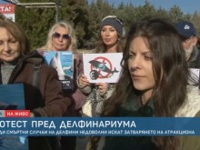 С протест във Варна искат затварянето на Делфинариума