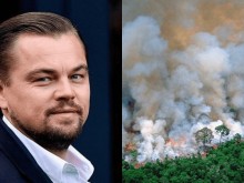 Лео ди Каприо отрече да е финансирал пожарите в Амазония
