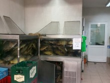 Вижте какви са цените на рибите в Пловдив преди Никулден