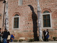 Палмите на Пловдив "заспиват" зимен сън