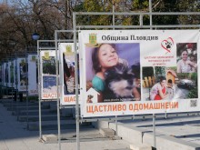 Осиновете куче от Зооветеринарния комплекс, няма да съжалявате
