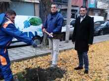 Георги Стаменов подкрепи залесителна акция