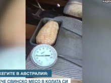 Австралиец изпече свинско месо в колата си заради адските жеги