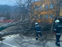 Бурен вятър остави без ток част от Врачанска област