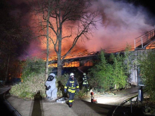 Пожар в зоологическа градина в Германия в новогодишната нощ причини