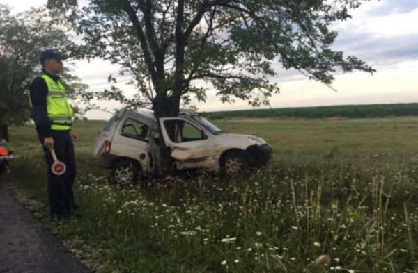 > Шофьор загина след удар в дърво в Хасково, съобщиха от
