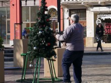 Последно сбогом за елхата от площада в Пловдив