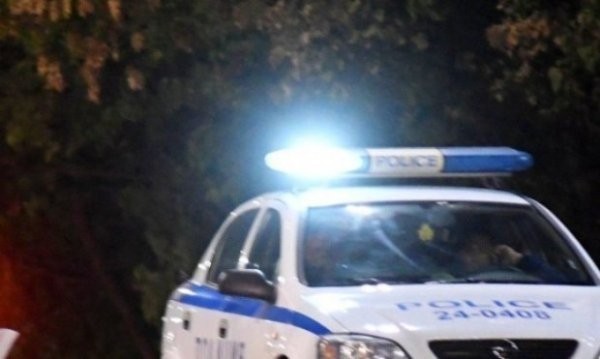 Шофьорка избегна куче на пътя, но се заби в бетонен стълб