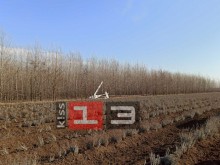 Самолет падна край Русе!