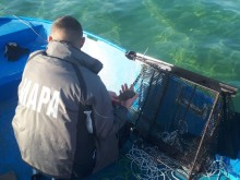 Бракониери на бяла мида си спретнаха гонка в морето с ИАРА
