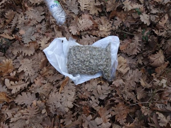 Голям удар на полицията! Близо до Пловдив задържаха двама братя със 17 кг марихуана