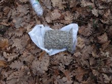 Голям удар на полицията! Близо до Пловдив задържаха двама братя със 17 кг марихуана