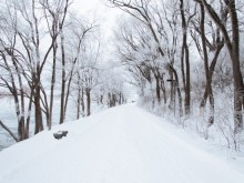 20 см сняг в края на седмицата?