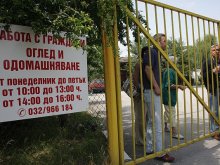 Общината праща нахапани от кучета граждани извън града, вместо сигналът да се подаде по телефона
