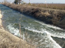 Далавера или пилеене на вода?