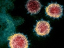 Официално: Резултатите на жената от Пловдив за коронавирус са отрицателни!