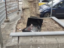Защо да не си изхвърлим телевизора на улицата?
