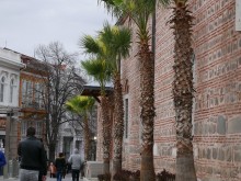 Разопаковаха палмите в центъра на Пловдив