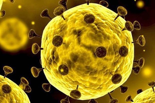 Световната здравна организация обяви разпространението на коронавируса за пандемия Според