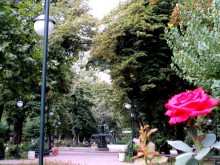 "Градини и паркове" раздаде над 3000 маски 