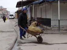Германски вестник: Ако вирусът стигне до циганските махали в България, ще стане страшно