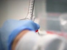 Изследователи разкриха помага ли БЦЖ ваксината срещу COVID-19
