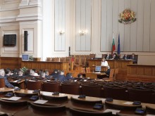 Цвета Караянчева вика депутатите на извънредно заседание