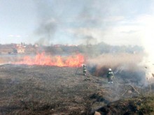 Вече десети ден пожарите край Чернобил не стихват