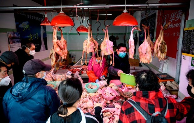Getty Images
Шокиращи кадри от пазари в Азия заклани диви животни