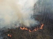 Пожарът край "Чернобил" вече е овладян