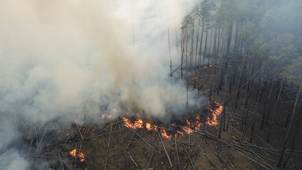 EPA БГНЕС
Украйна обяви днес че само малки изолирани огнища са останали