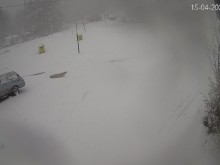 Пролет ли? Вижте какво се случва в момента на Хижа Здравец!