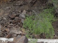 Свлачище затрупа 3 къщи с роми в покрайнините на Пещера