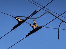 Опасни връзки на въздушната контактна мрежа в Кючука