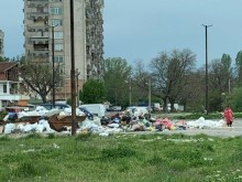 Незаконно сметище в Пловдив се превръща в източник на зараза