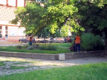 200 работници косят избуялата след дъждовете трева в Пловдив