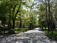 Община Пловдив с призив да не се палят сухите треви в зелените площи