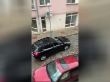 Селяндурски екшън! Скандалната Николета Батаклиева отново в действие