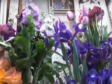 Наричат ги най-цветното и усмихнато семейство в Пловдив!