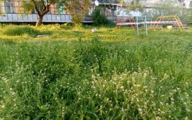 Читателка: Ирония от Пловдив само в една снимка