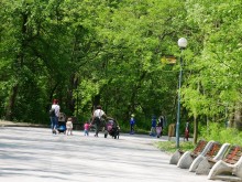 Служителите в парковете в Пловдив повече от гражданите. Има и нарушители!