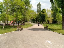 Парковете в Асеновград са обозначени със знаци и маркировка по алеите