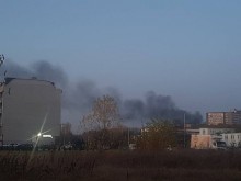 Глобиха пловдивска фирма за нелегално горене на гъби за миене
