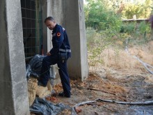 Пловдив се размина с обгазяване и бедствено положение след изтичане на хлор