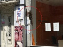 Рояк пчели тормози и напада пловдивчани на Главната