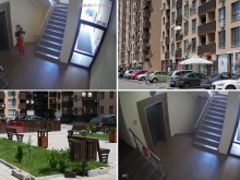 Цялата история на питона от "Оазис“ 6 в Пловдив