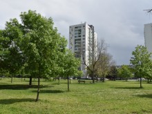 Масовото пролетно третиране в Пловдив срещу кърлежи продължава