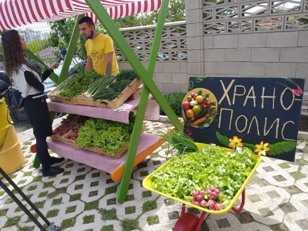ХраноПолис е новата инициатива във Варна която придоби популярност с